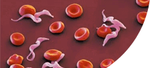 blood.png